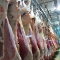 白俄罗斯牛肉4切