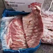 母猪肋排