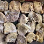 美国675金钱肚