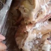 改包二级耳