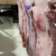 冷鲜带肘子一级后