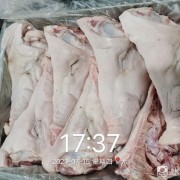 鸿运当头