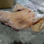 拆柜9052带耳