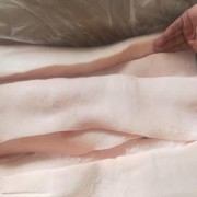 国产黑猪脊膘