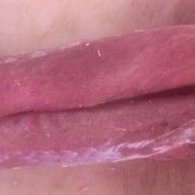 3号脊肉
