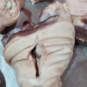 母猪后肘