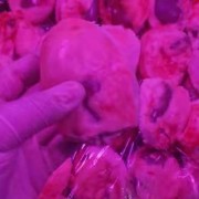 羊腰