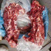 阿兰茨18脖骨