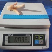 巴西凤爪