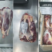 乌拉圭草饲前后腱