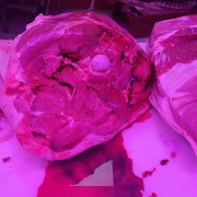 肘子肉