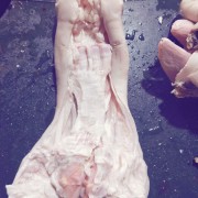 水退牛蹄