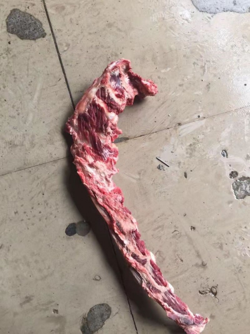 国产多肉燕翅骨