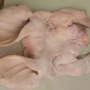 猪面具