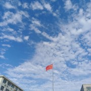 大日期66六分体