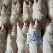改包猪蹄