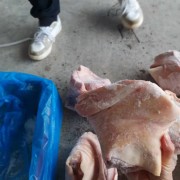27284后肘