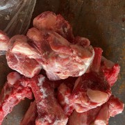 带肉棒骨