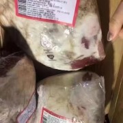 加拿大3A保乐肩