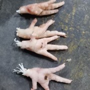 中Ｂ级凤爪
