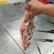 母猪去皮槽头