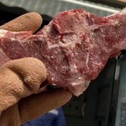 蝴蝶排