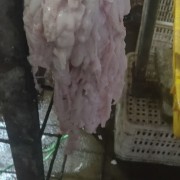 吊挂板油