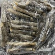 竹蛏