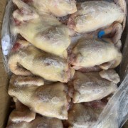 老母鸡