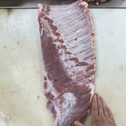 毛排