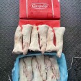 荷兰121长脚