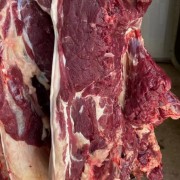 马肉
