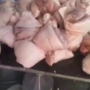 猪后肘