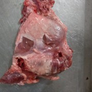 纯干无骨猪核桃肉