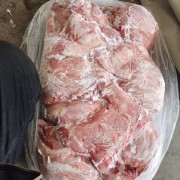 母猪二四号肉