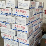 开背巴沙鱼