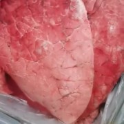 牛肝