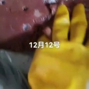 牛肝