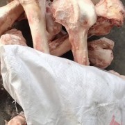 牛棒骨