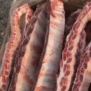国产母猪寸排