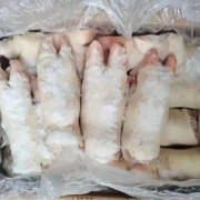 母猪一级蹄价格低