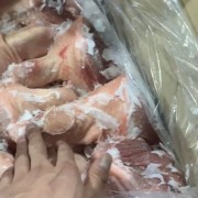 纯国产带拐后肘