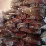 羊心肺