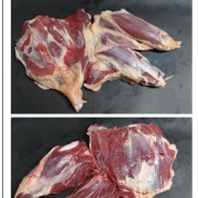 乌拉圭439后腱