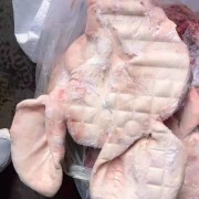 耳猪头10－12