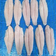 巴沙鱼片