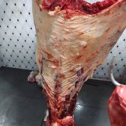 全牛部位肉鲜肉
