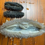 海参