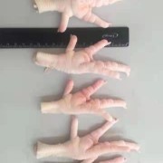 鸡爪