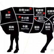 智利1015